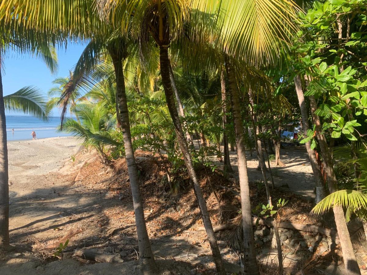 Beach Front Bahia Sámara エクステリア 写真